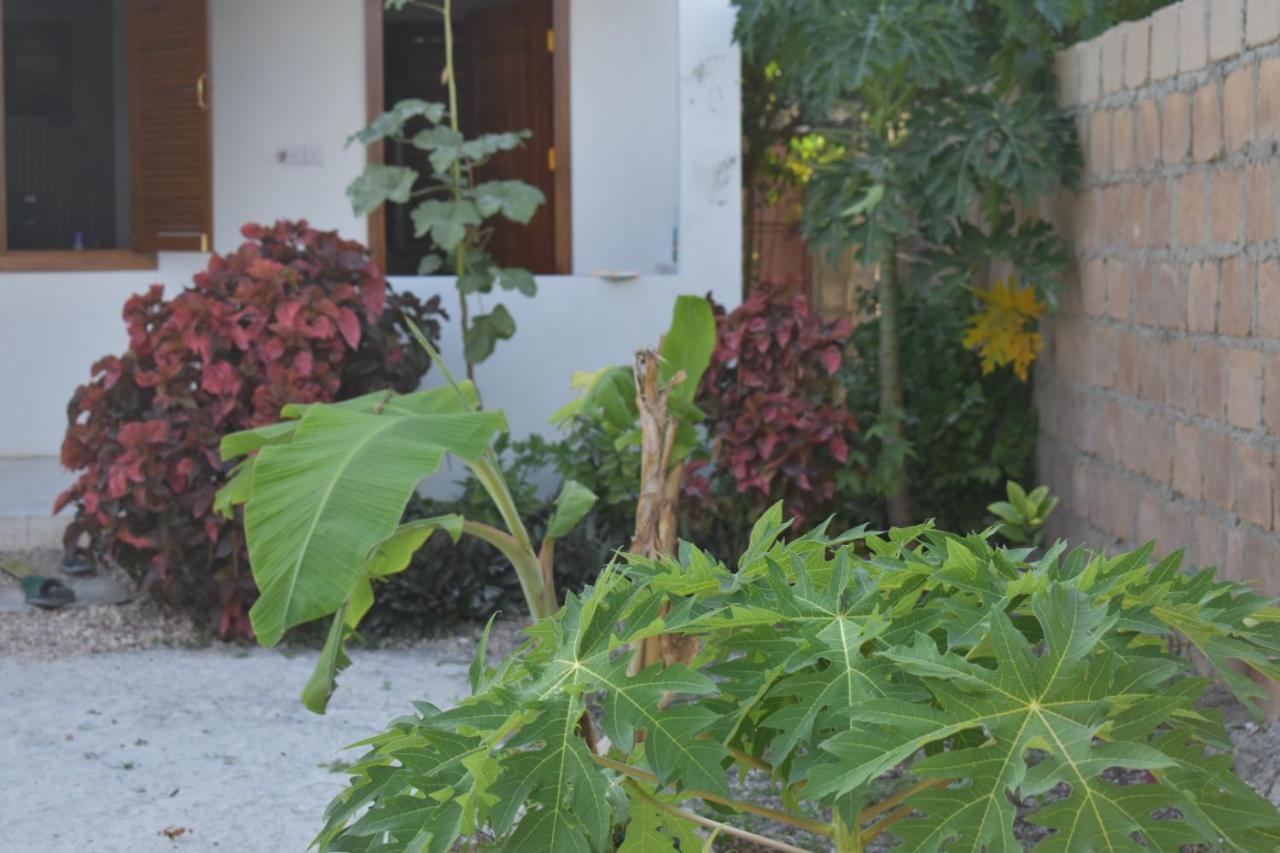 New Arisen Bungalows Bwejuu Exterior foto